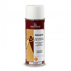 TOUCH-UP SPRAY LACQUER - HOLZSPRAY